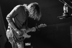 Pipistrello Photography