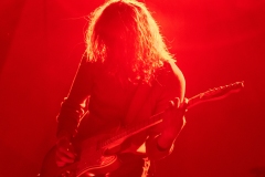 Pipistrello Photography