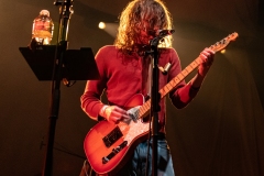 Pipistrello Photography