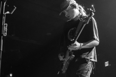 Pipistrello Photography