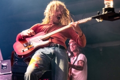 Pipistrello Photography