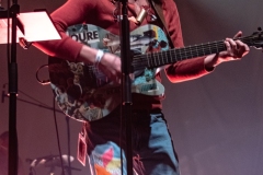 Pipistrello Photography