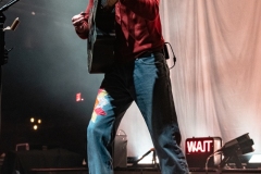 Pipistrello Photography