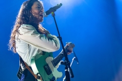 Pipistrello Photography