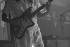 Pipistrello Photography