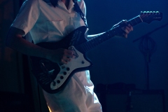 Pipistrello Photography