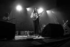 Pipistrello Photography