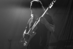 Pipistrello Photography