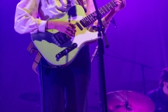 Pipistrello Photography