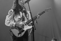 Pipistrello Photography