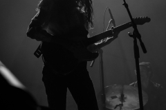 Pipistrello Photography