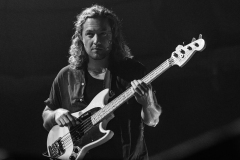 Pipistrello Photography