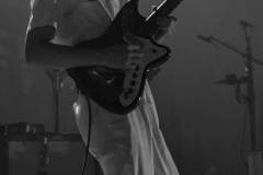 Pipistrello Photography