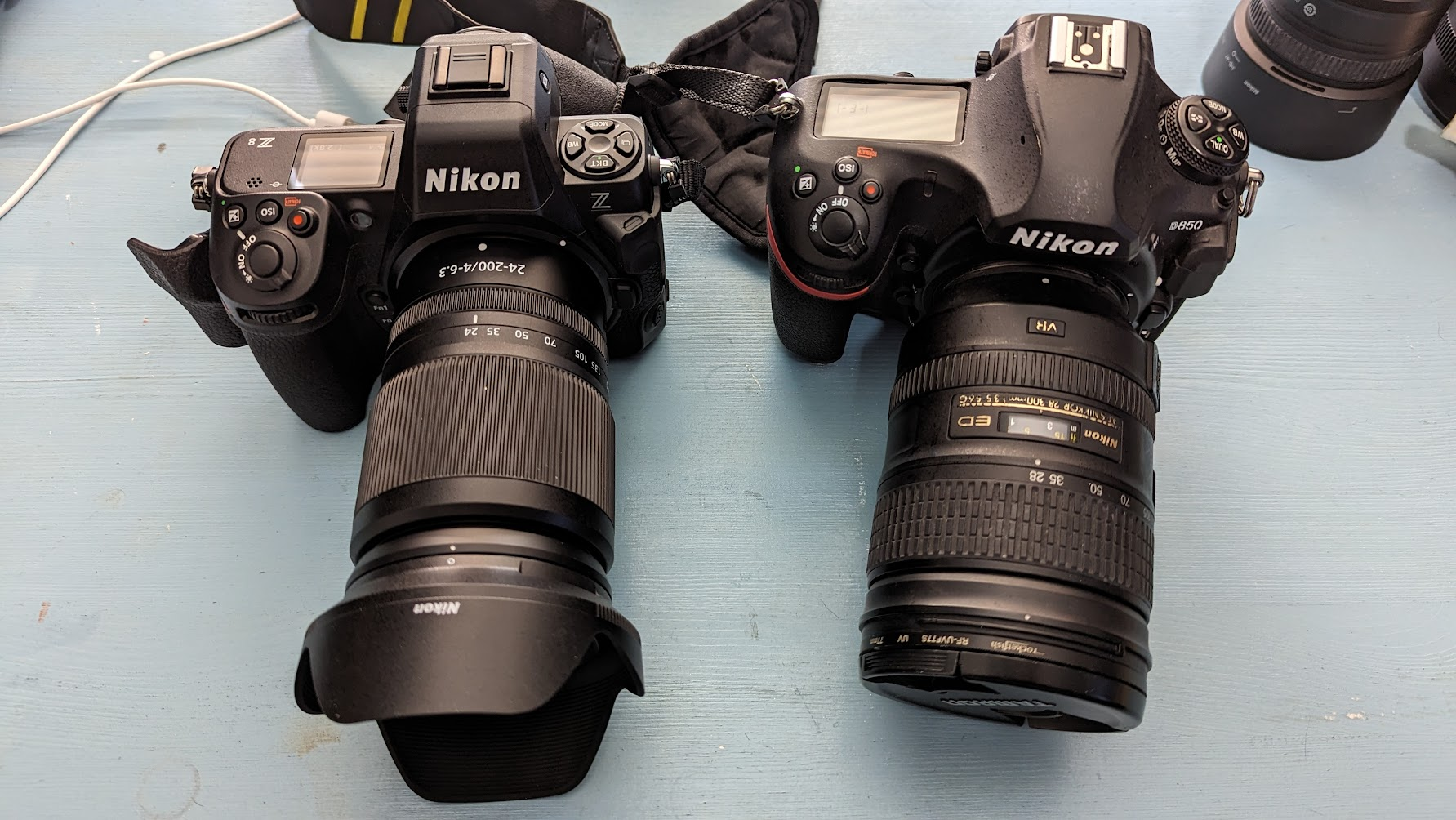 Nikon Z8 Review (and more) - Pipistrello Photography